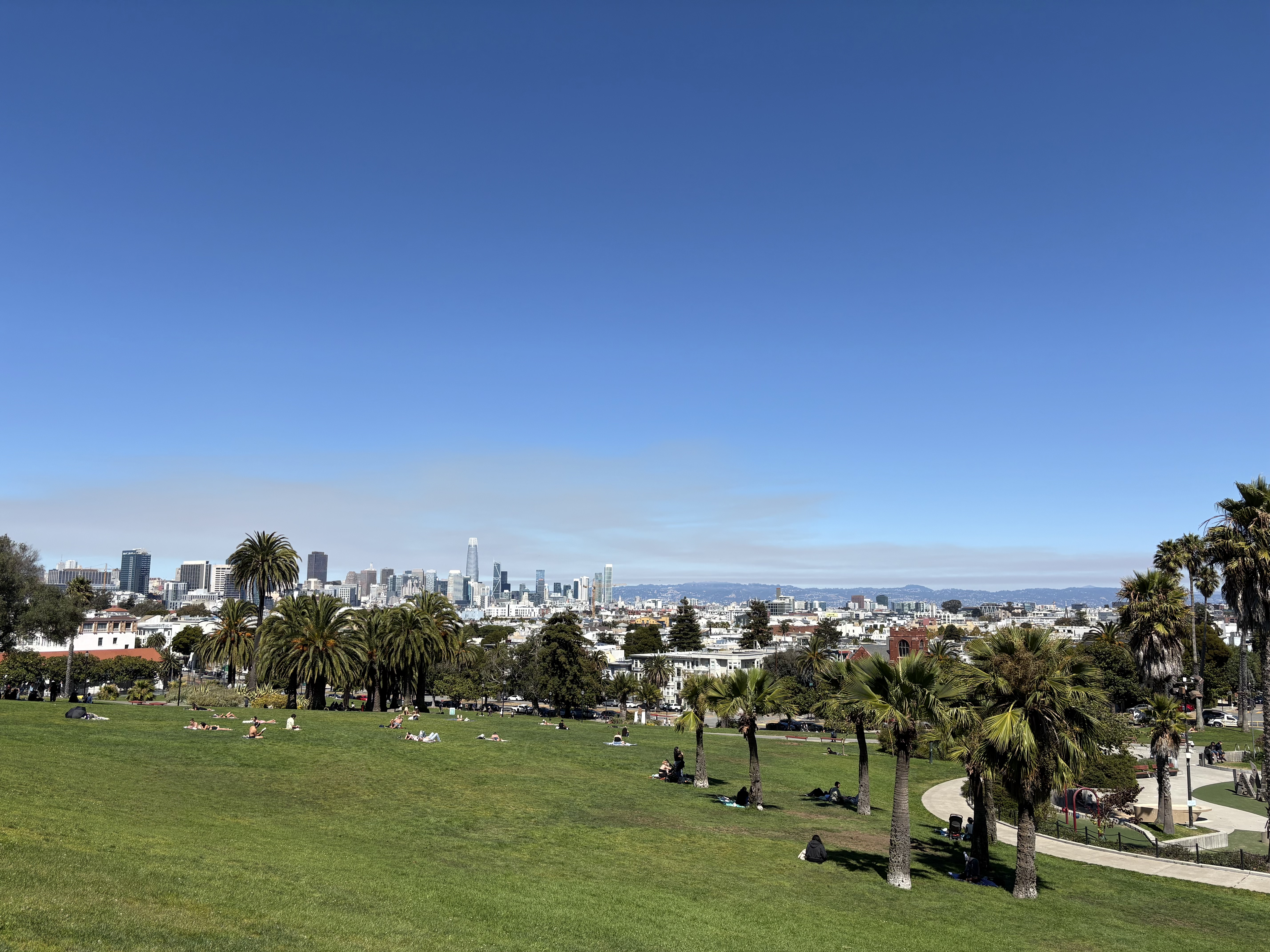 Day 7 at Mission Dolores Park